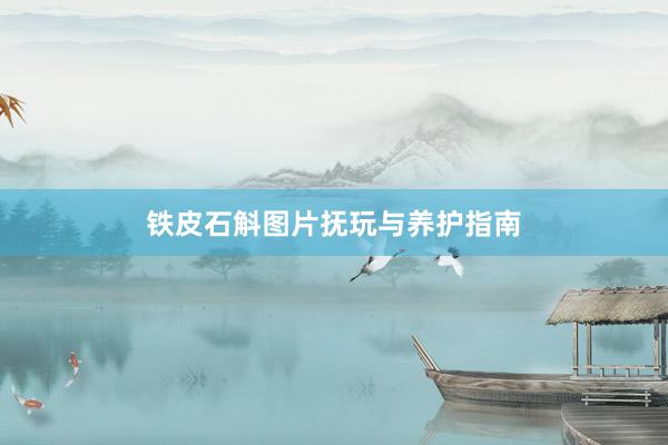 铁皮石斛图片抚玩与养护指南