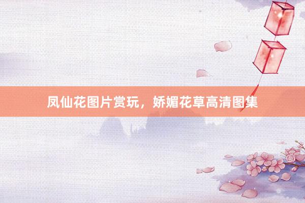 凤仙花图片赏玩，娇媚花草高清图集